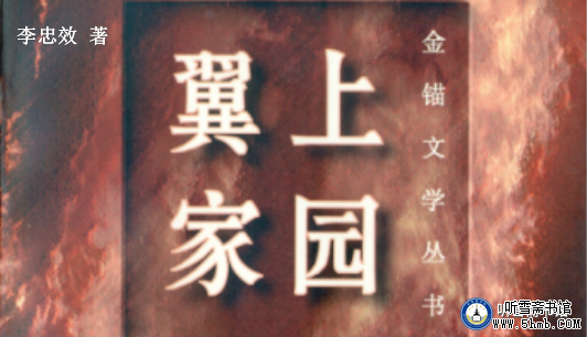 《翼上家园》第十八章 乱云飞渡 （2）