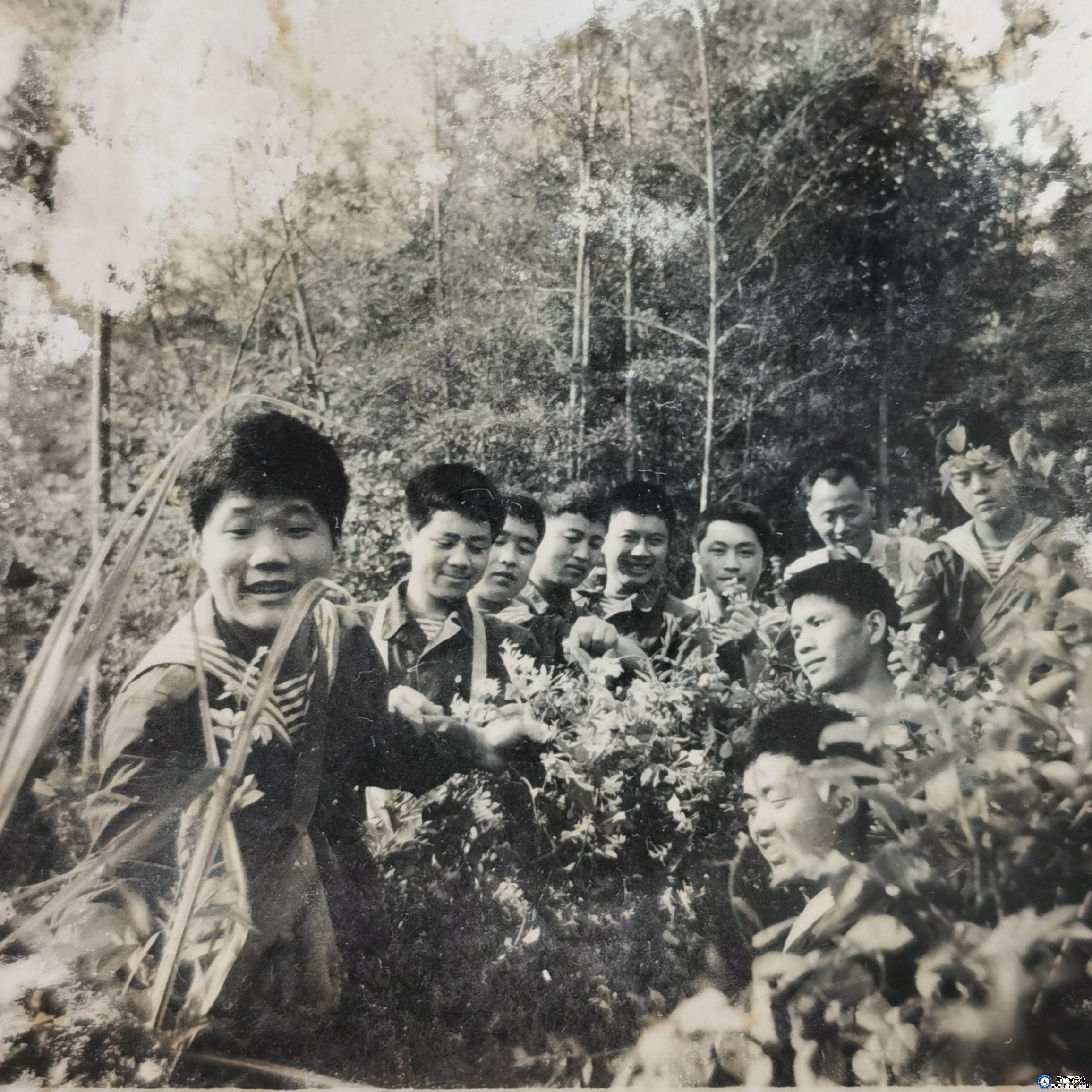 卫生所往事 卫生所往事