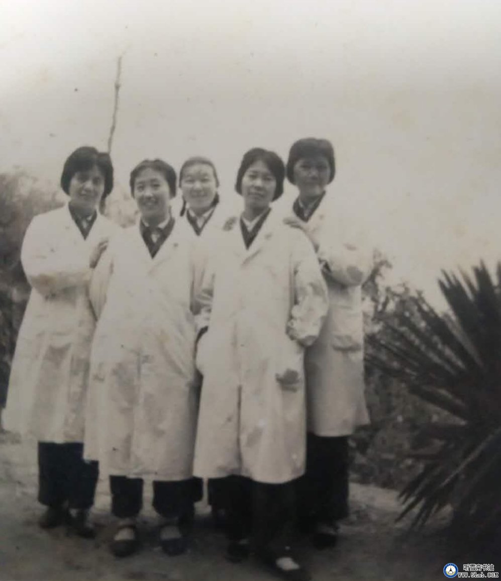 卫生所往事 卫生所往事