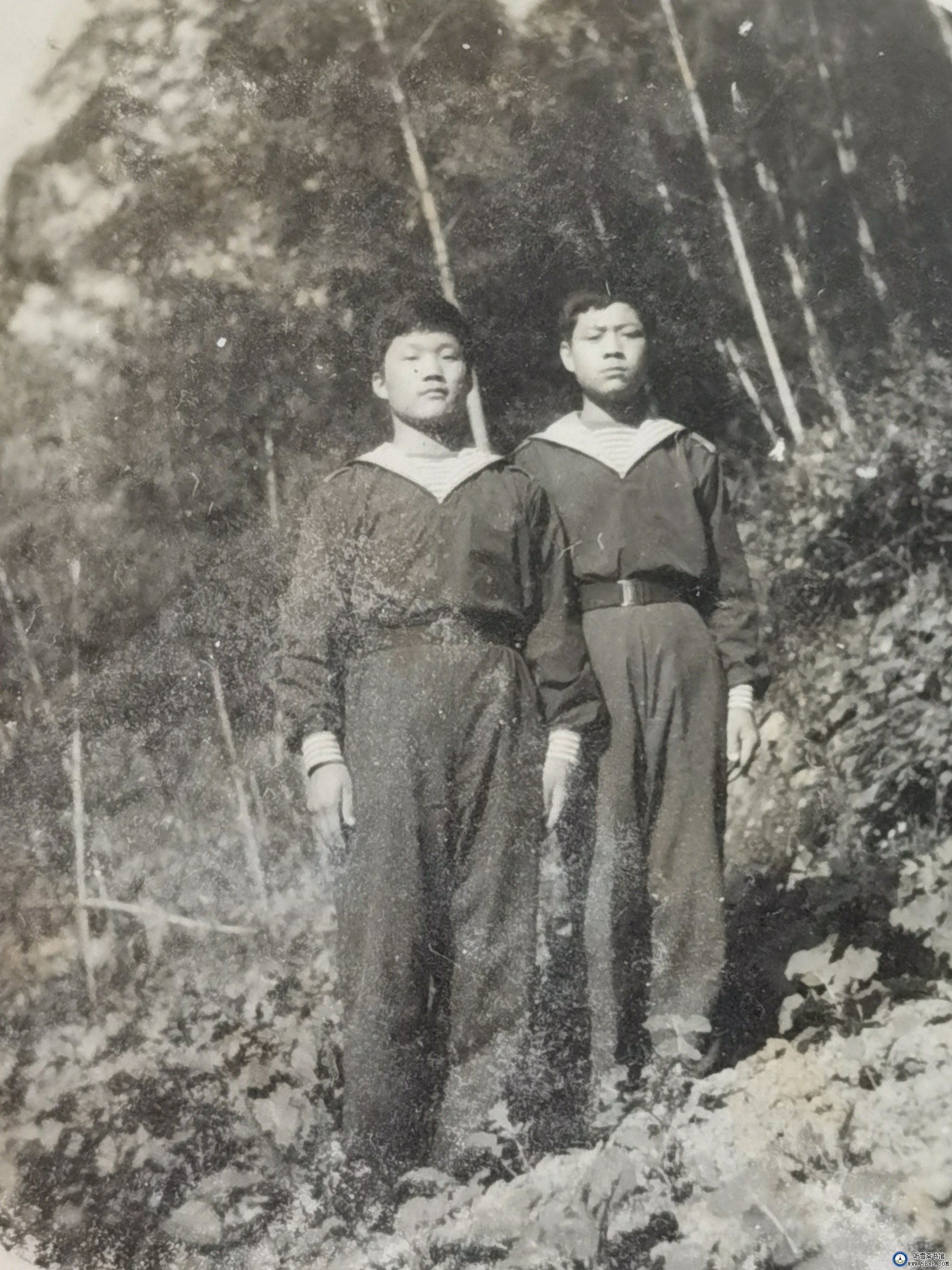 卫生所往事 卫生所往事