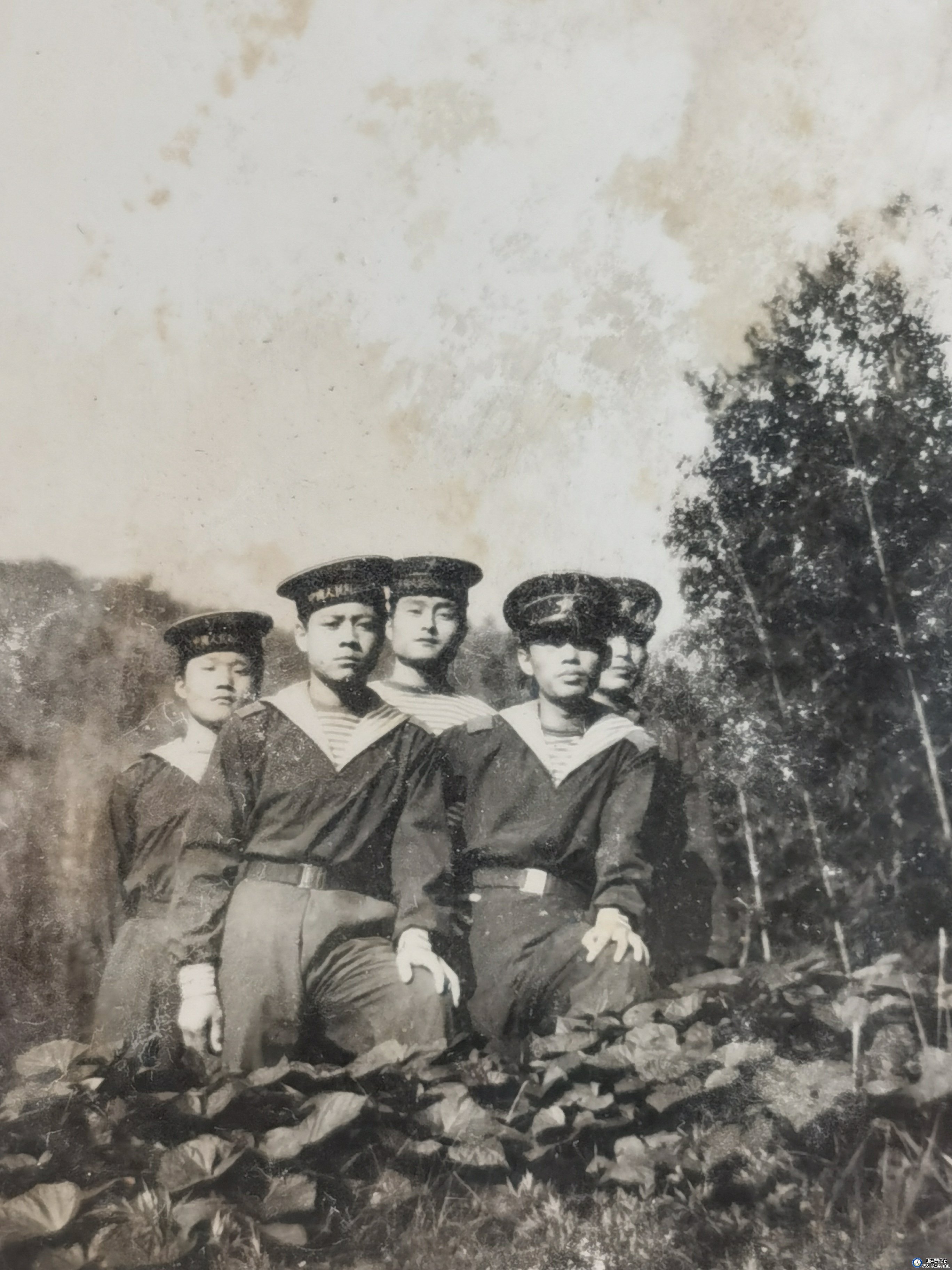 卫生所往事 卫生所往事