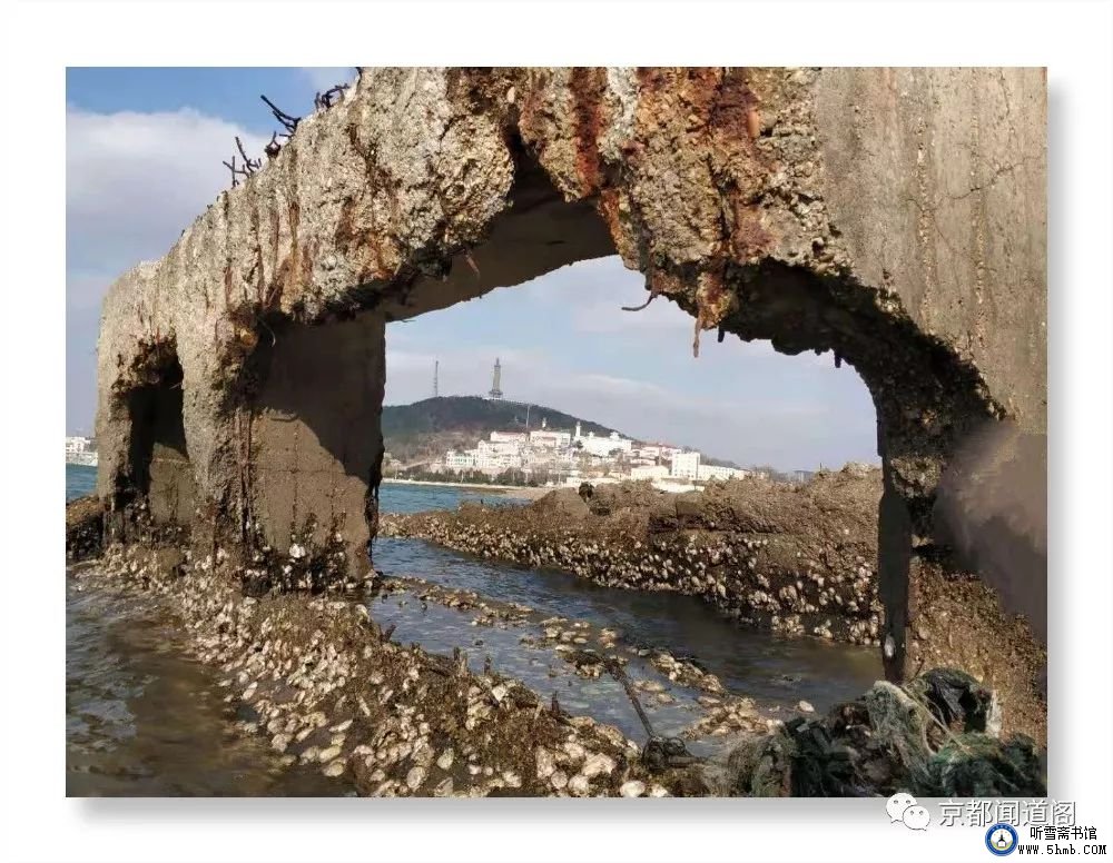 一不小心,踩到了“老虎尾” 一不小心,踩到了“老虎尾”