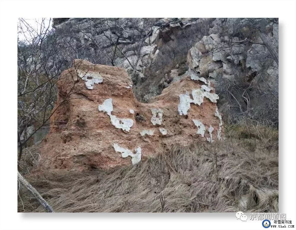 一不小心,踩到了“老虎尾” 一不小心,踩到了“老虎尾”