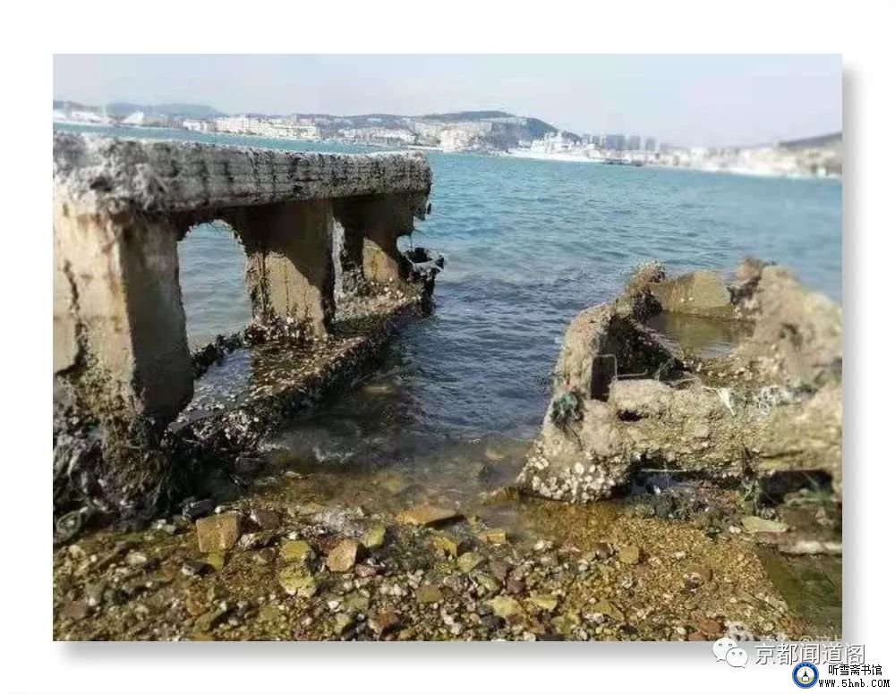 一不小心,踩到了“老虎尾” 一不小心,踩到了“老虎尾”