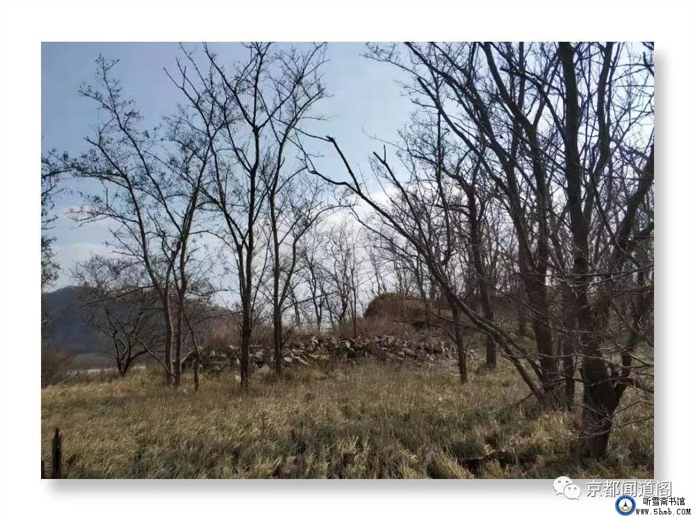 一不小心,踩到了“老虎尾” 一不小心,踩到了“老虎尾”