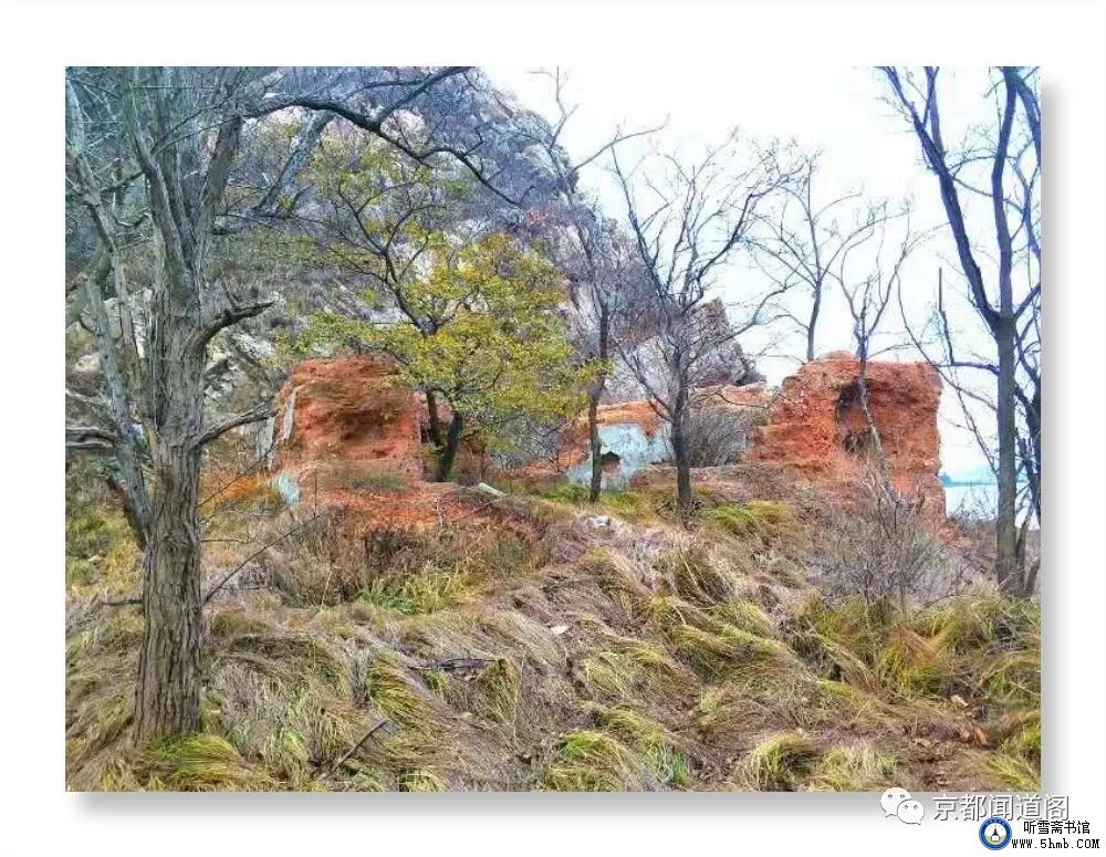 一不小心,踩到了“老虎尾” 一不小心,踩到了“老虎尾”