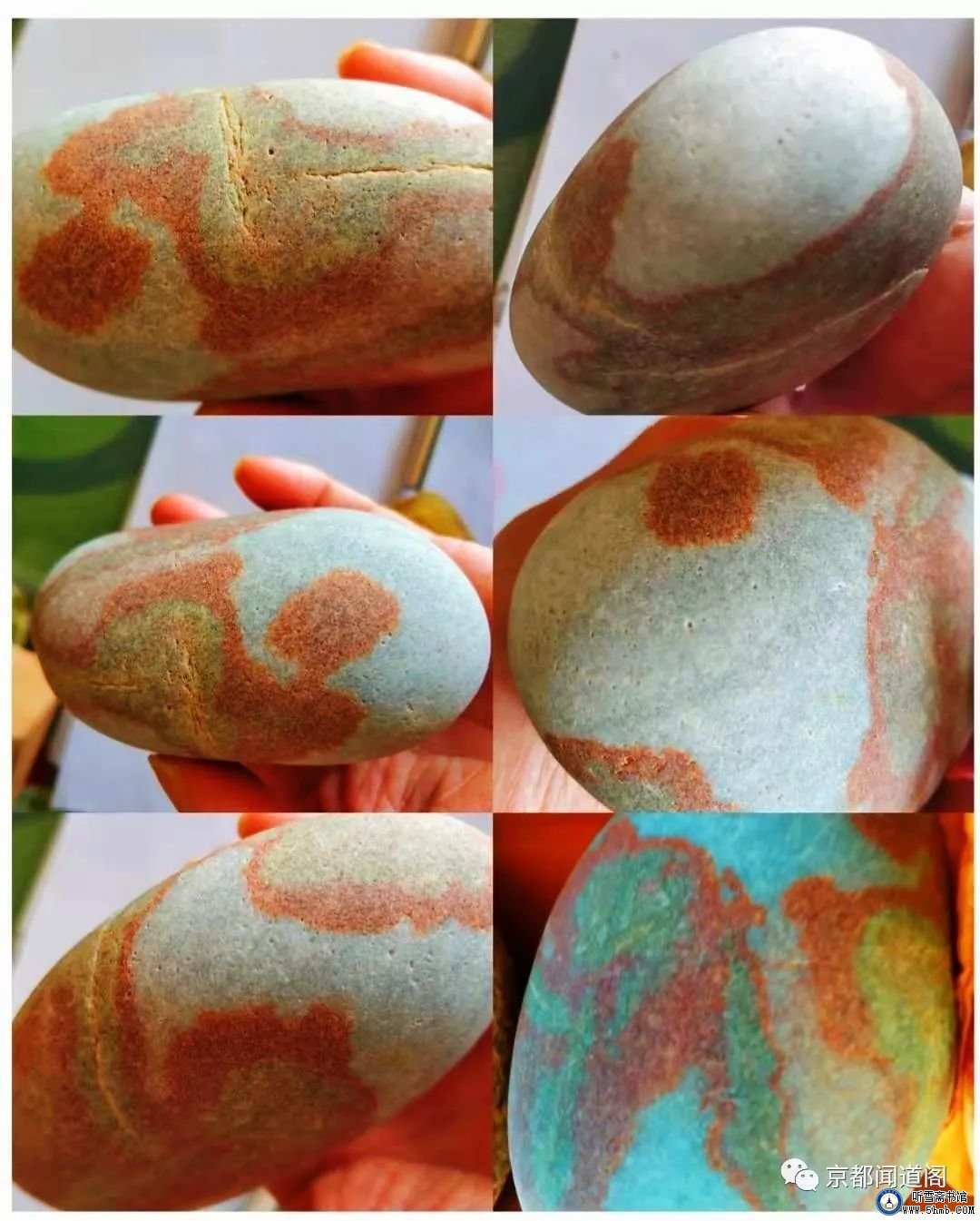 一不小心,踩到了“老虎尾” 一不小心,踩到了“老虎尾”