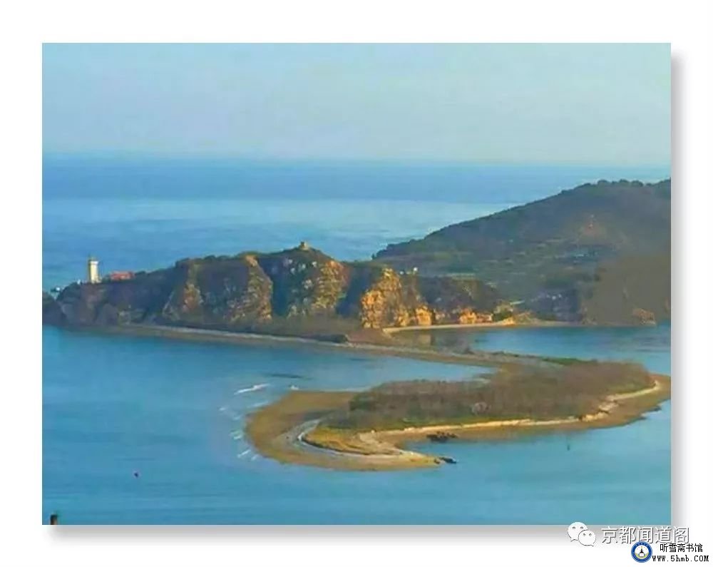 一不小心,踩到了“老虎尾” 一不小心,踩到了“老虎尾”