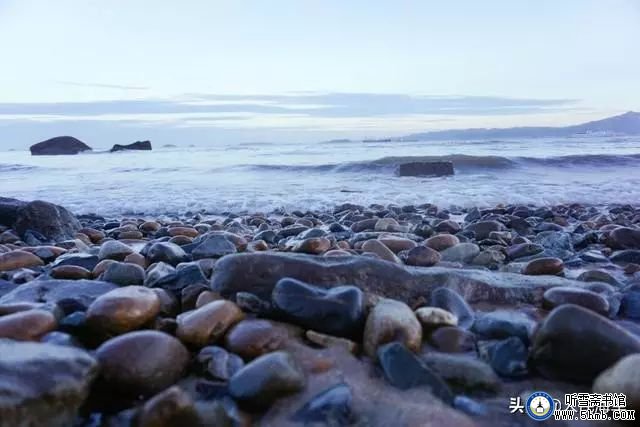 水兵再上老虎尾，你为何如此感怀？