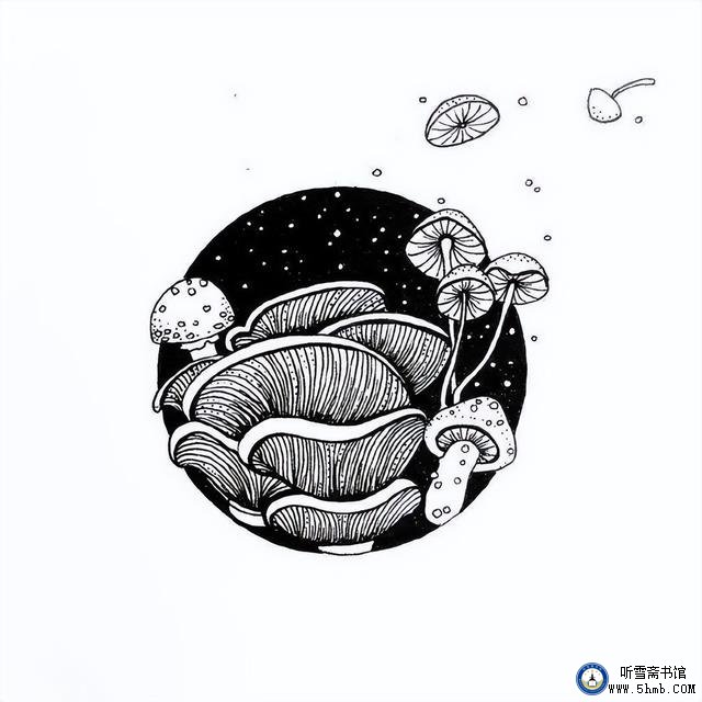 蓝海缘，未了情 —— 一名潜艇水兵报道员的成长足迹